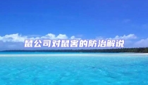 鼠公司對鼠害的防治解說