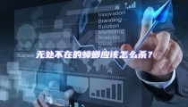 無處不在的蟑螂應該怎么殺?