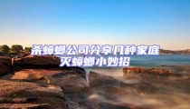 殺蟑螂公司分享幾種家庭滅蟑螂小妙招