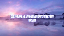 如何防止白蟻危害我們的家園