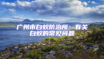 廣州市白蟻防治所:有關(guān)白蟻的常見問題