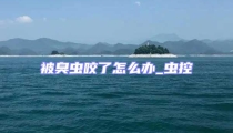 被臭蟲咬了怎么辦_蟲控