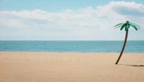 發現白蟻危害房子找白蟻防治
