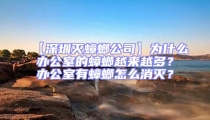 【深圳滅蟑螂公司】為什么辦公室的蟑螂越來越多?辦公室有蟑螂怎么消滅?