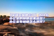 【深圳滅蟑螂公司】為什么辦公室的蟑螂越來越多？辦公室有蟑螂怎么消滅？