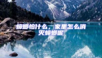 蟑螂怕什么,家里怎么消滅蟑螂呢