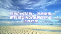 深圳白蟻防治:悶熱潮濕的傍晚會有大量的白蟻飛進辦公室