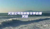 滅蟲公司告訴你冬季也要滅蚊