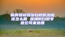 新房裝修裝飾白蟻防治應該怎么做 深圳防白蟻專業公司來處理
