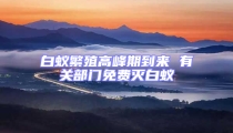 白蟻繁殖高峰期到來 有關部門免費滅白蟻