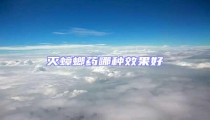 滅蟑螂藥哪種效果好