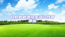 白蟻的種類及生活習性有那些