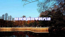 除臭蟲最簡(jiǎn)單的方法