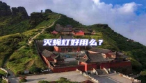 滅蠅燈好用么?