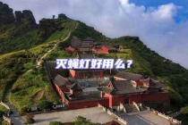 滅蠅燈好用么？