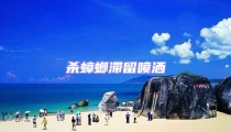殺蟑螂滯留噴灑