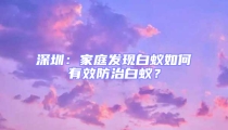 深圳:家庭發現白蟻如何有效防治白蟻?