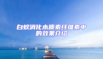 白蟻消化木質素纖維素中的效果介紹