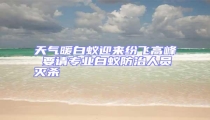 天氣暖白蟻迎來紛飛高峰 要請專業白蟻防治人員滅殺