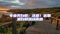 專業滅白蟻:注意!近期是白蟻活動高峰