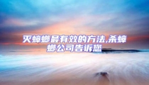 滅蟑螂最有效的方法,殺蟑螂公司告訴您