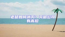 老鼠如何消滅?滅鼠公司有高招