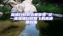 深圳白蟻防治要警惕 又一波深圳白蟻婚飛的高峰期到來
