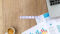 白蟻的垂直介布