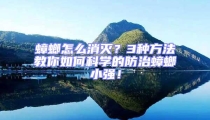 蟑螂怎么消滅?3種方法教你如何科學的防治蟑螂小強!