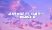 深圳白蟻防治:蟻群是一個(gè)復(fù)雜的機(jī)制