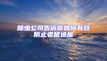 除蟲公司告訴你如何有效防止老鼠進(jìn)屋