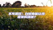 不可思議:白蟻竟能讓沙漠變成綠地?