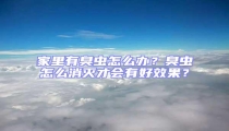 家里有臭蟲怎么辦?臭蟲怎么消滅才會有好效果?