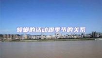 蟑螂的活動跟季節的關系