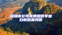 深圳市公司免費提供專業白蟻危害問答