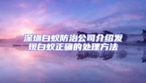 深圳白蟻防治公司介紹發現白蟻正確的處理方法