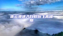 連云港進(jìn)入白蟻紛飛高峰期