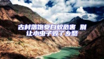 古村落飽受白蟻危害 別讓小蟲子毀了鄉愁