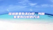深圳哪里有殺白蟻,判斷家里有白蟻的方法