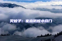 滅蚊子：家庭防蚊小竅門