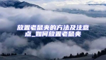 放置老鼠夾的方法及注意點_如何放置老鼠夾