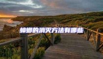 蟑螂的消滅方法有哪些