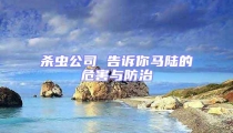 殺蟲公司 告訴你馬陸的危害與防治