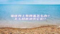貓咪身上有跳蚤怎么辦?怎么徹底消滅它們?