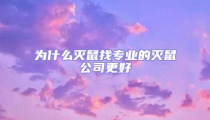 為什么滅鼠找專業(yè)的滅鼠公司更好