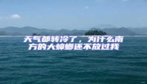 天氣都轉(zhuǎn)冷了,為什么南方的大蟑螂還不放過(guò)我