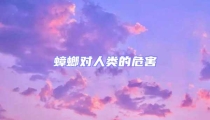 蟑螂對人類的危害
