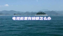 電視柜里有蟑螂怎么辦