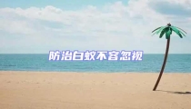 防治白蟻不容忽視