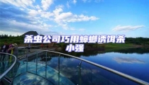 殺蟲公司巧用蟑螂誘餌殺小強(qiáng)